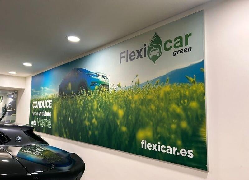 Coches ECO en Flexicar Green